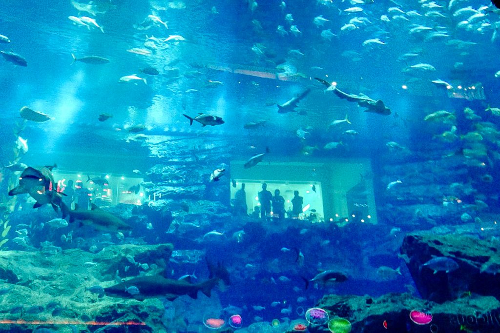 Dubajaus akvariumas
