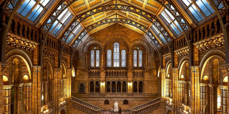 Londono gamtos istorijos muziejus londone