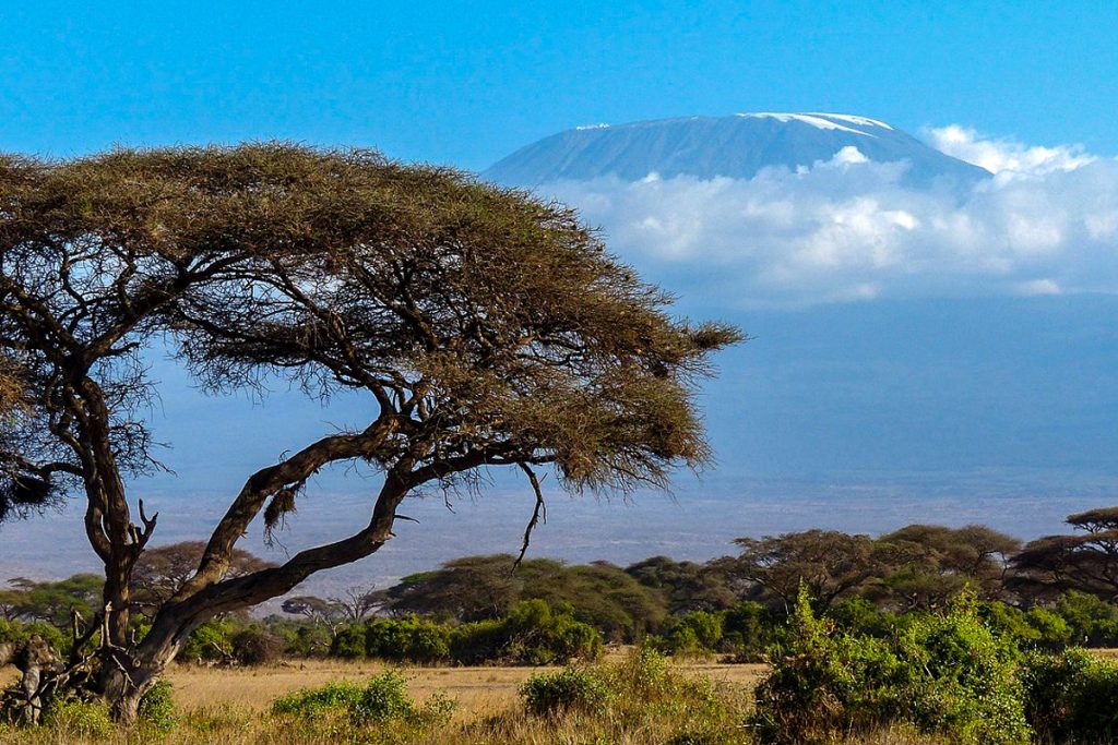 kilimandzaras tanzanija