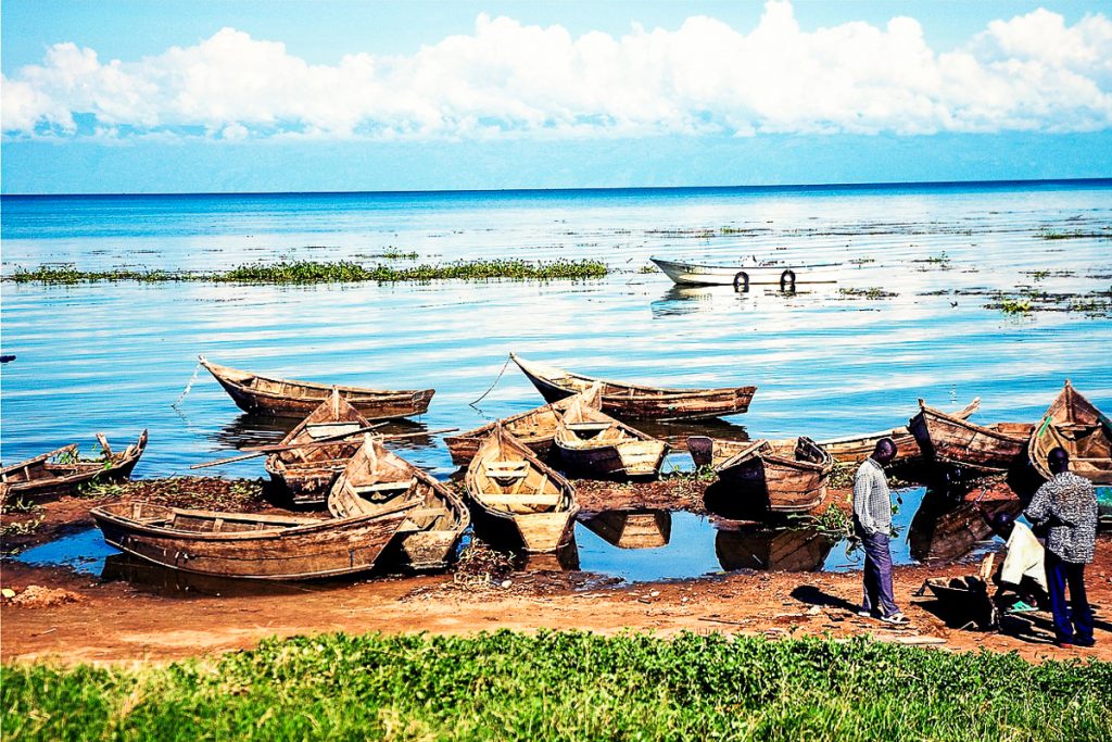 viktorijos ezeras tanzanijoje