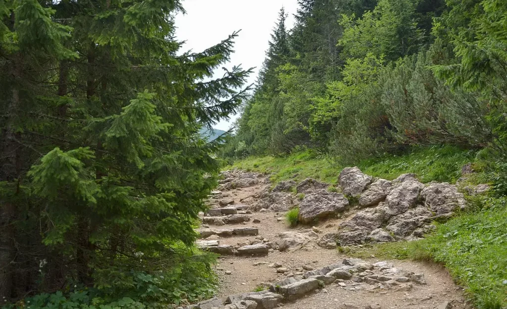 Wielki Kopieniec žygis